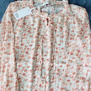 Rose and Olive Sheer Multicolored Blouse Sized M